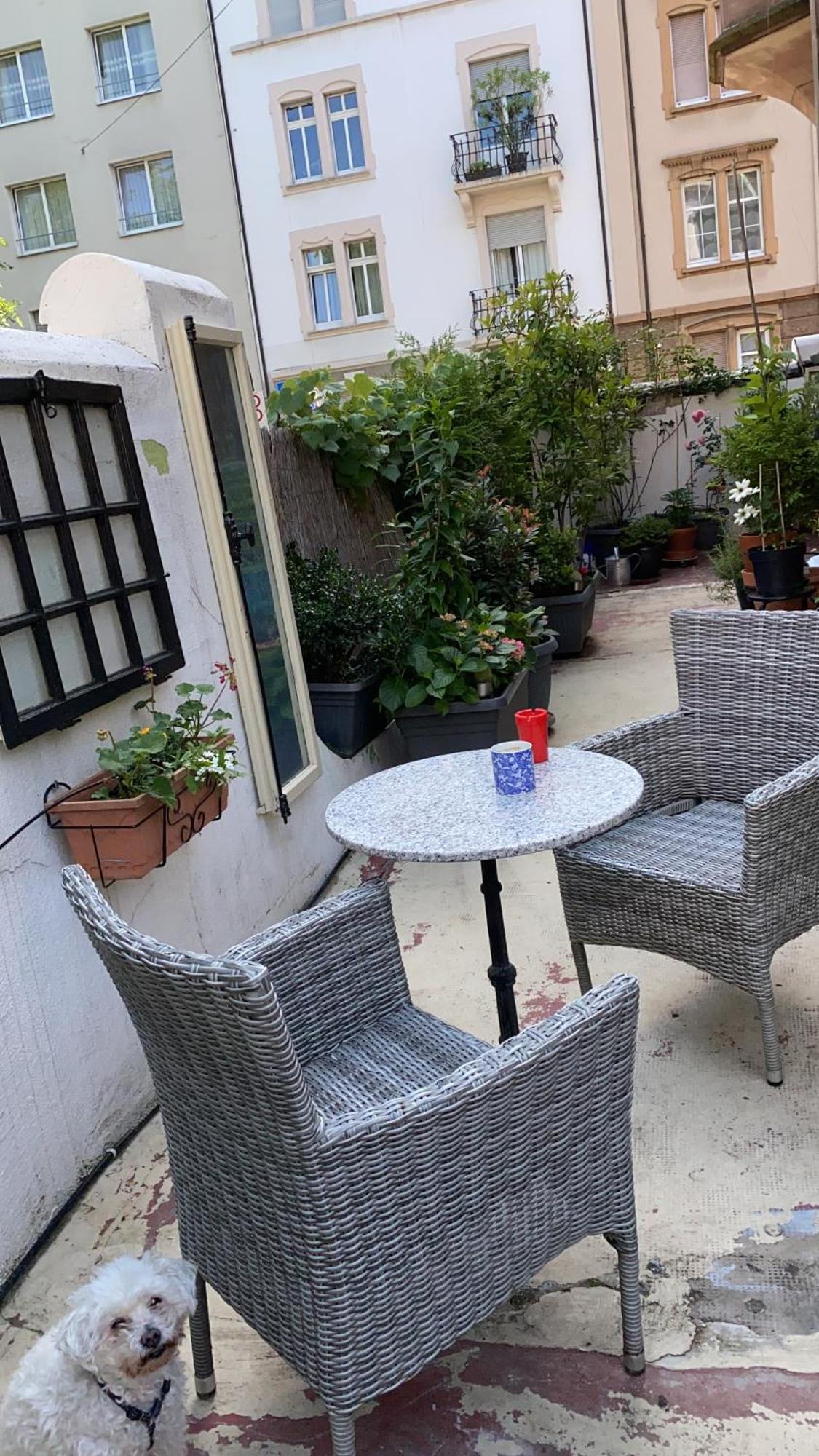 Georgian Guest Rooms Basel Bagian luar foto